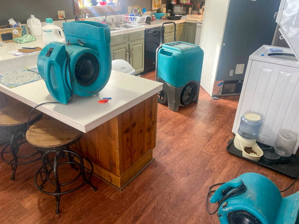 Carpet water damage restoration in OH