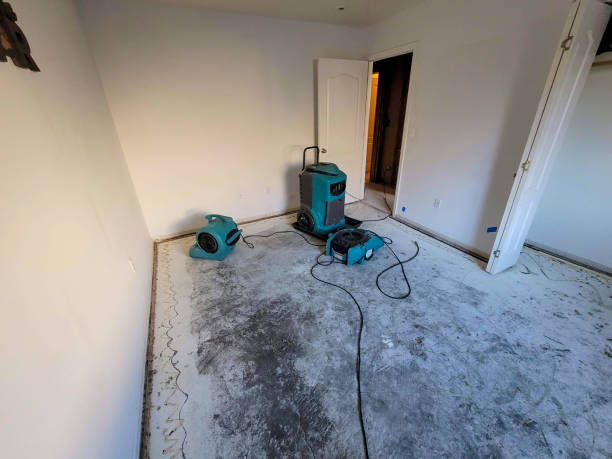 Best Flooded house restoration  in La Croft, OH
