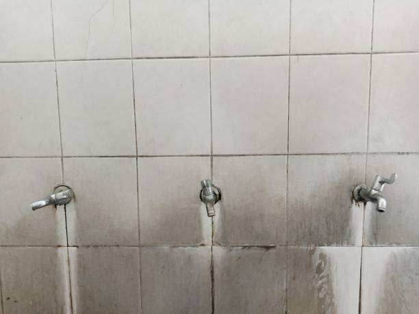 Best Carpet water damage restoration  in La Croft, OH
