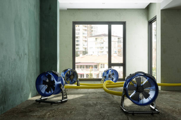 Best 24-hour water damage restoration  in La Croft, OH